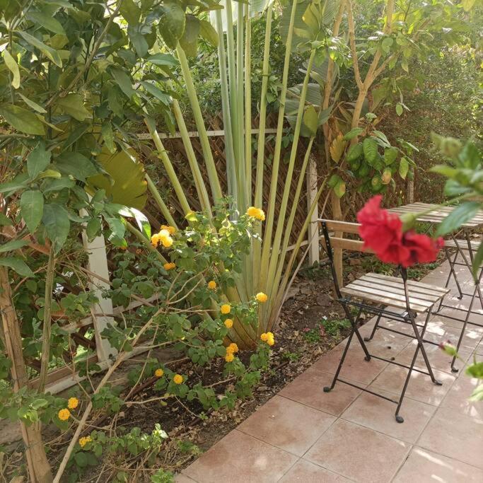 Ferienwohnung Eilat Stone Terrace-אילת סטון טראס Exterior foto